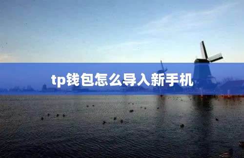 tp钱包怎么导入新手机