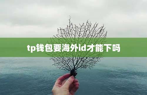 tp钱包要海外id才能下吗
