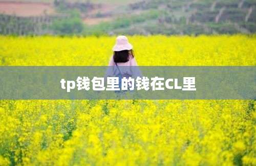 tp钱包里的钱在CL里