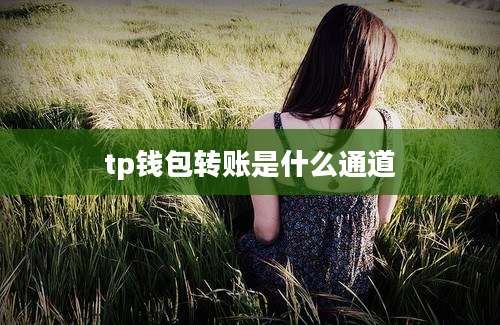 tp钱包转账是什么通道