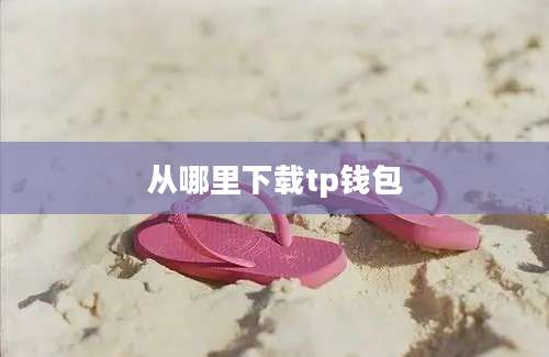 从哪里下载tp钱包