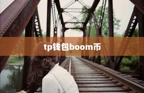 tp钱包boom币