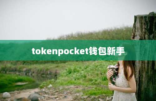 tokenpocket钱包新手