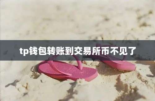 tp钱包转账到交易所币不见了