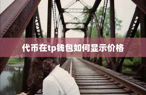代币在tp钱包如何显示价格