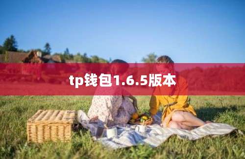 tp钱包1.6.5版本