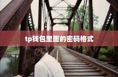 tp钱包里面的密码格式
