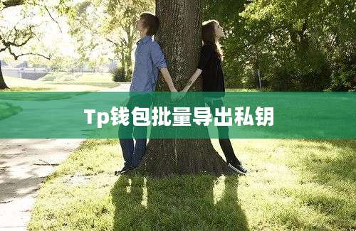 Tp钱包批量导出私钥