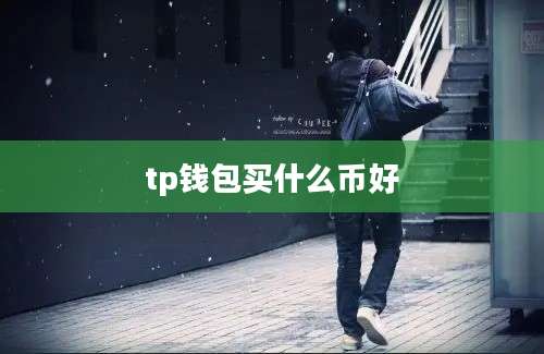 tp钱包买什么币好
