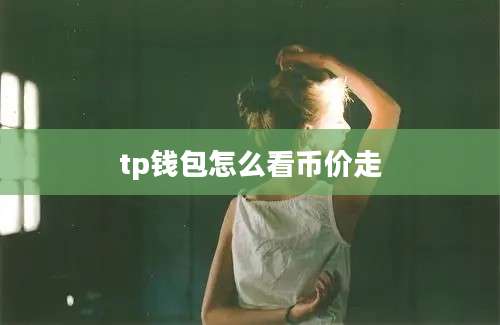 tp钱包怎么看币价走