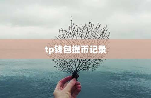 tp钱包提币记录