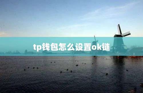 tp钱包怎么设置ok链