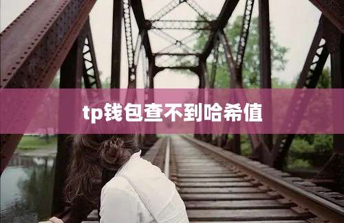 tp钱包查不到哈希值
