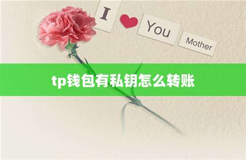 tp钱包有私钥怎么转账