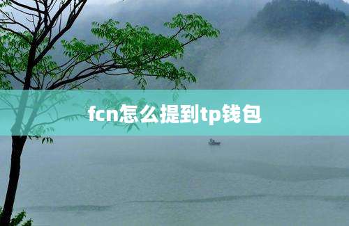 fcn怎么提到tp钱包