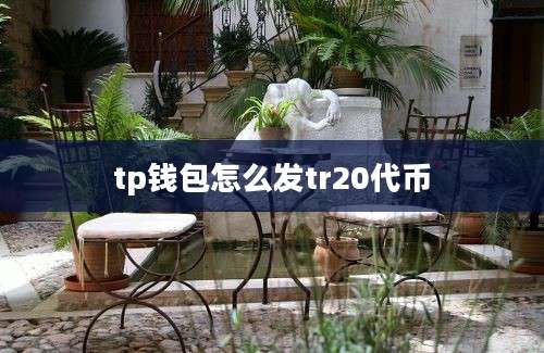 tp钱包怎么发tr20代币