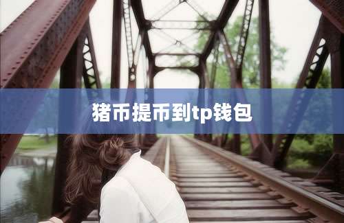 猪币提币到tp钱包