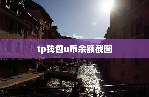 tp钱包u币余额截图