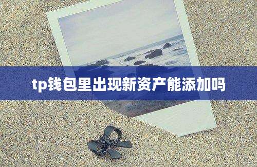 tp钱包里出现新资产能添加吗
