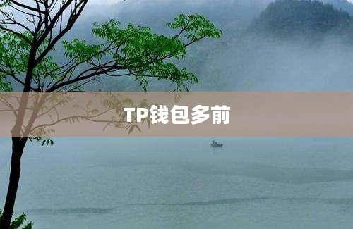 TP钱包多前
