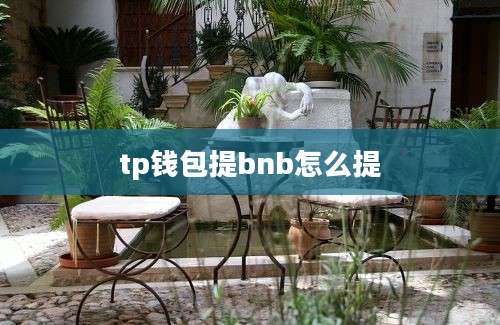 tp钱包提bnb怎么提