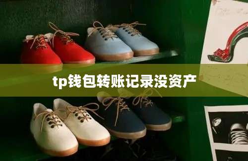 tp钱包转账记录没资产