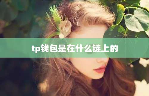 tp钱包是在什么链上的