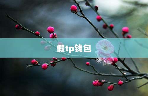 假tp钱包
