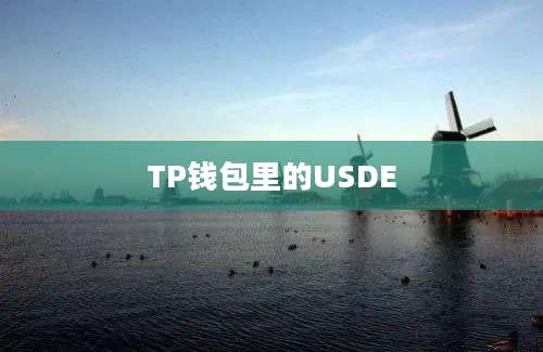 TP钱包里的USDE