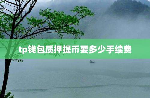tp钱包质押提币要多少手续费