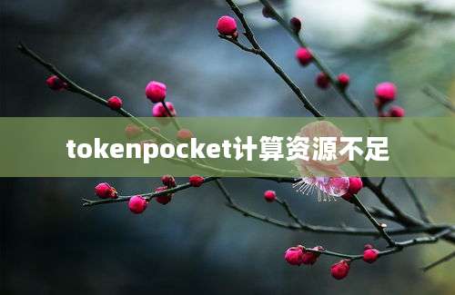 tokenpocket计算资源不足