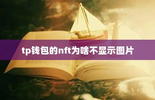 tp钱包的nft为啥不显示图片