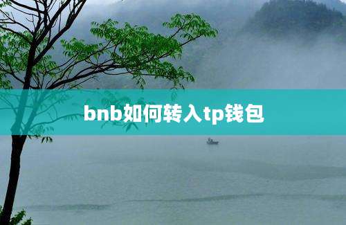 bnb如何转入tp钱包