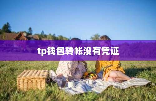 tp钱包转帐没有凭证
