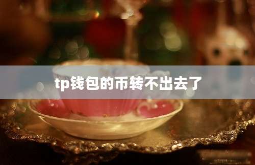tp钱包的币转不出去了
