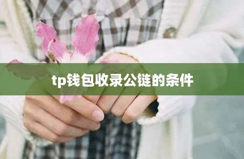 tp钱包收录公链的条件