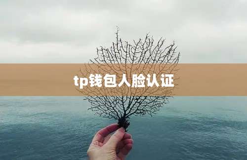 tp钱包人脸认证