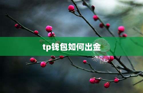 tp钱包如何出金