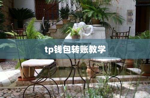 tp钱包转账教学