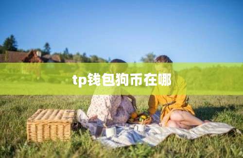 tp钱包狗币在哪