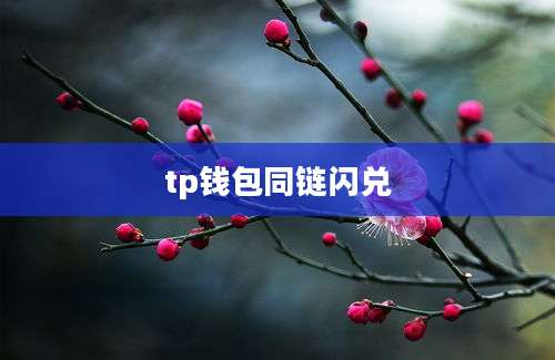 tp钱包同链闪兑