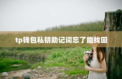 tp钱包私钥助记词忘了能找回