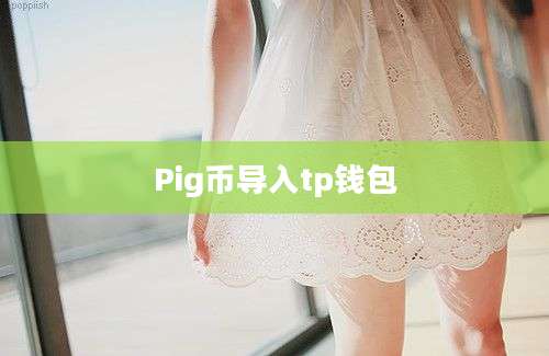 Pig币导入tp钱包