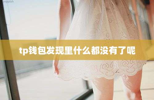 tp钱包发现里什么都没有了呢