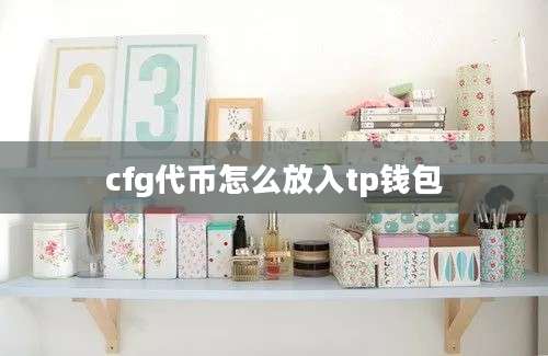 cfg代币怎么放入tp钱包