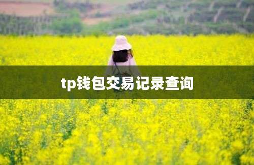 tp钱包交易记录查询