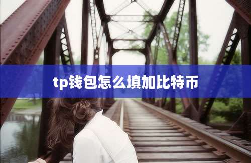 tp钱包怎么填加比特币