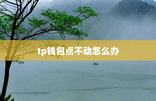tp钱包点不动怎么办