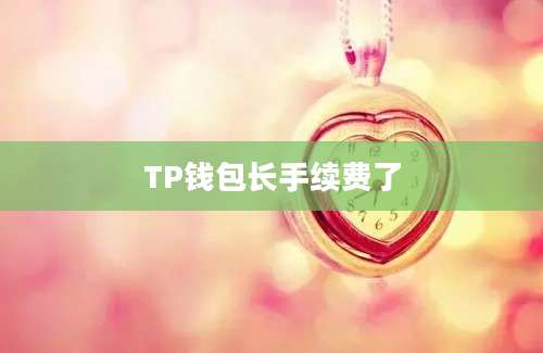 TP钱包长手续费了