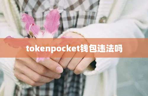 tokenpocket钱包违法吗